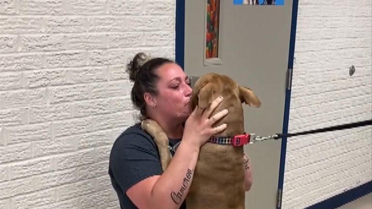 Emotional reunion between dog and owner after two years.