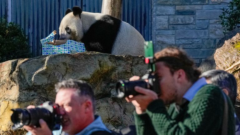 The Chinese delegation paid a visit to Adelaide Zoo. Pic: Reuters