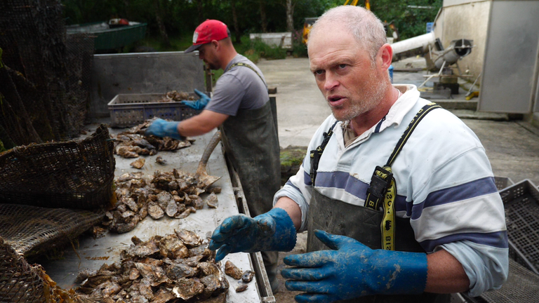 Shuan Krijnen has grown oysters on Anglesey for decades