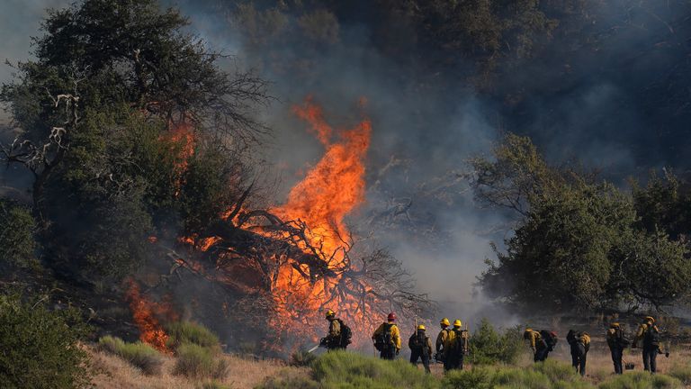 Firefighters battle the advancing Post Fire in California.
Pic:AP