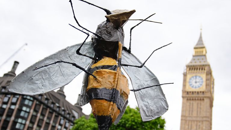 An insect model during a Restore Nature Now rally in Parliament Square in central London.  Photo date: Saturday, June 22, 2024.