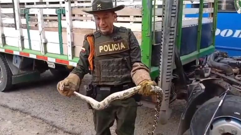 Snake carefully removed by officers after being found in truck engine