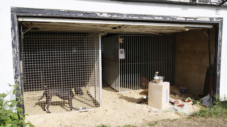 An RSPCA photo shows kennels in the garden of Phillip Harris Ali's home in Chigwell.  Photo: PA