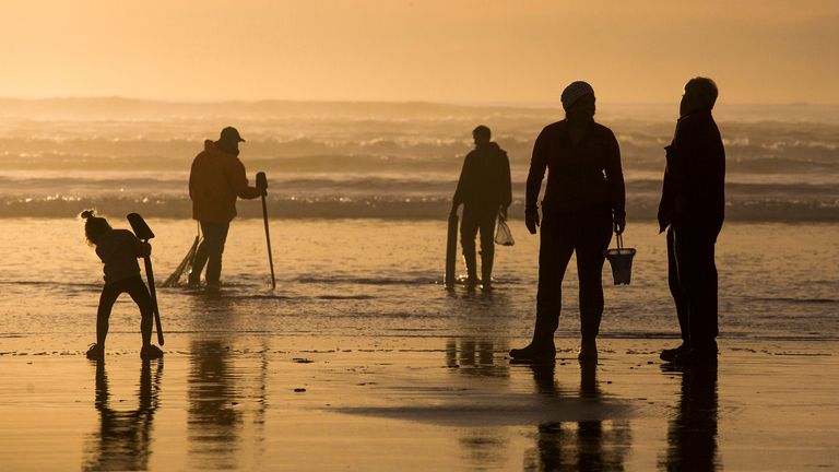 People search for clams in Oregon. File pic: AP