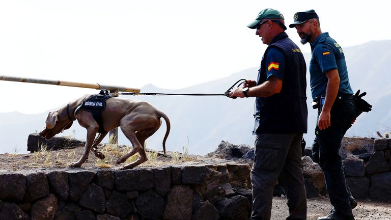 A dog participates in the search of a young British man in the Masca ravine, on the island of Tenerife. Spain, 