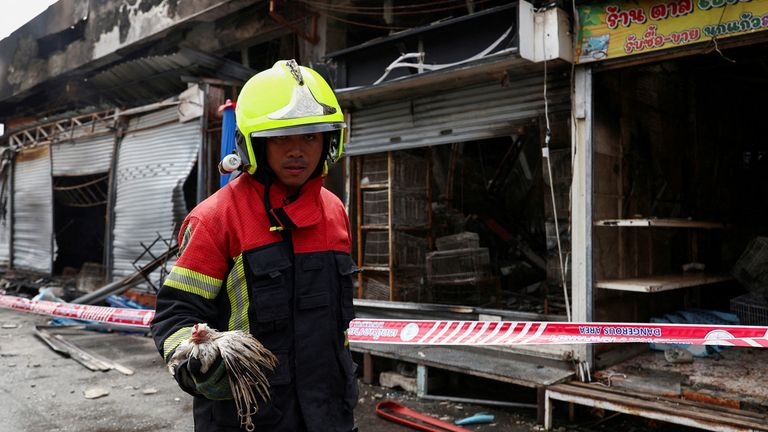 A firefighter rescues a bird. Pic: Reuters
