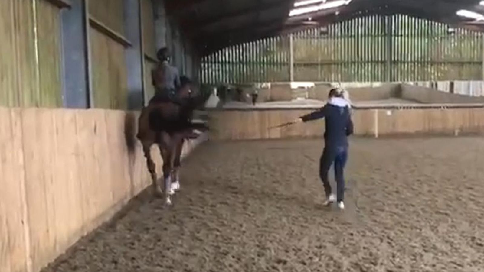 Distressing video has emerged of Olympic gold medallist Charlotte Dujardin  whipping her horse during training which horse welfare officials describe  as 