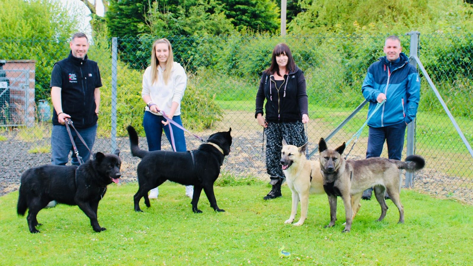 The Moffat six: Dogs rescued after fatal sheep attack meet rescuers one ...