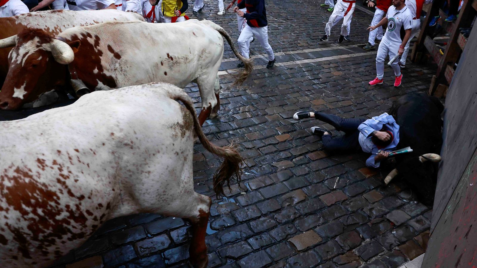 Six injured, including one gored, on first day of annual bull run in