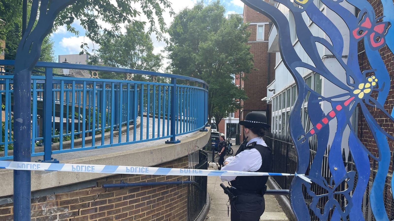 Boy, 15, shot dead in London park during 'family fun day' is named | UK ...