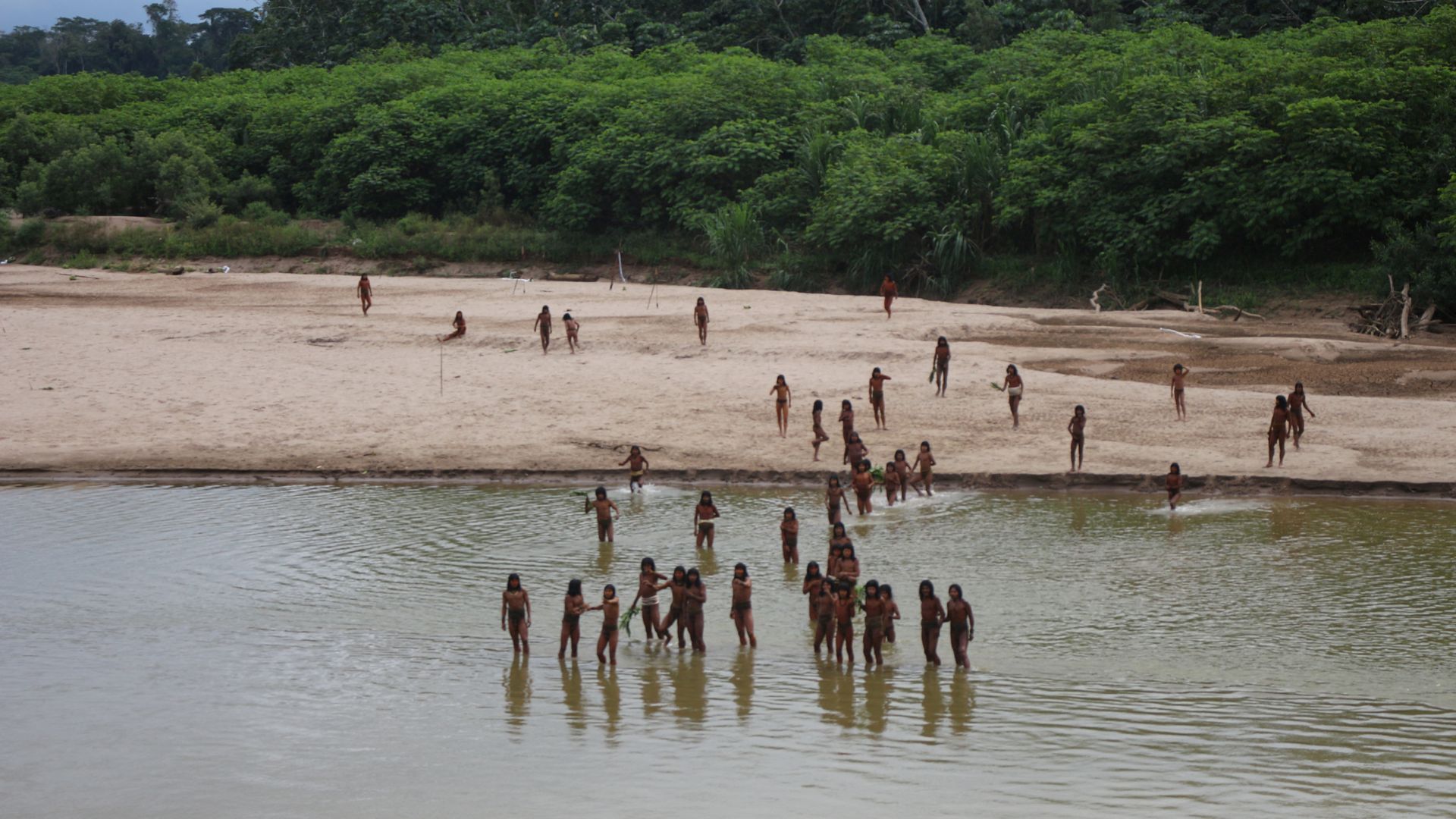 'Disaster': Rare photos of uncontacted tribe show it leaving rainforest to look for food