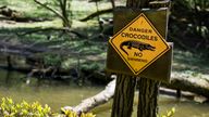 There are believed to be about 100,000 crocodiles in the Northern Territory. File pic.