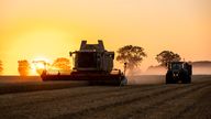 Pic: iStock