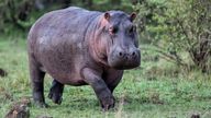 Pic: iStock 