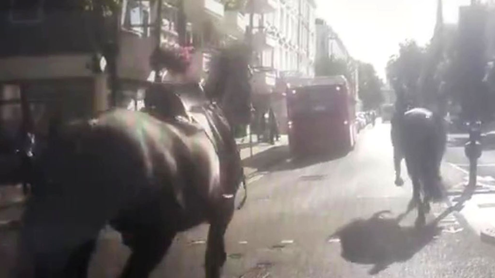 Chaos as military horses throw riders off before bolting through ...