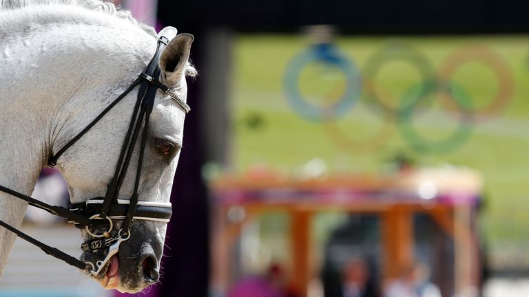 Poland's Katarzyna Milczarek's horse Ekwador is seen during the equestrian individual dressage Grand Prix Day 2 in Greenwich Park at the London 2012 Olympic Games August 3, 2012. REUTERS/Mike Hutchings (BRITAIN - Tags: SPORT EQUESTRIANISM OLYMPICS)