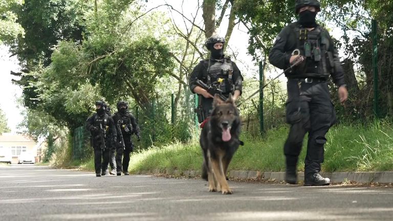 Armed police and a specialist search dog have been seen at a cemetery near to where the suspect lives in Enfield 