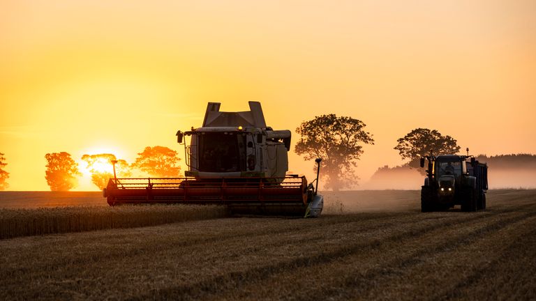 Pic: iStock