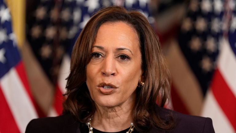 Vice President Kamala Harris speaks following a meeting with Israeli Prime Minister Benjamin Netanyahu at the Eisenhower Executive Office Building on the White House complex in Washington, Thursday, July 25, 2024. (AP Photo/Julia Nikhinson)