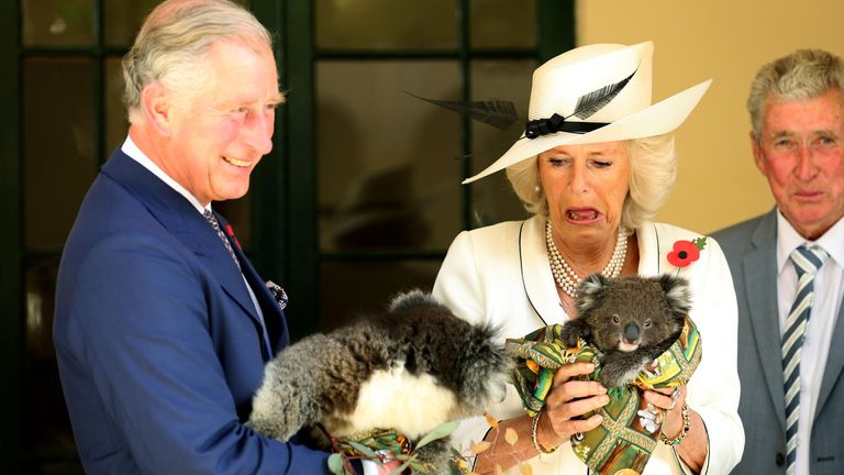 The Prince of Wales, and The Duchess of Cornwall hold Koalas at Government House in Adelaide, Australia in 2012. Pic: PA
