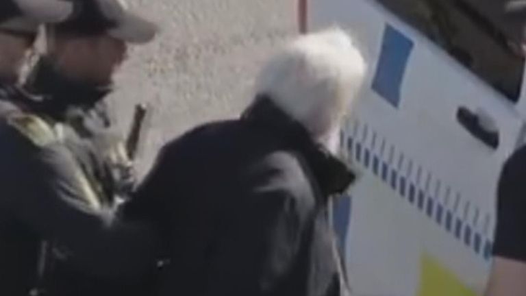 Activist Paul Watson is arrested in Greenland