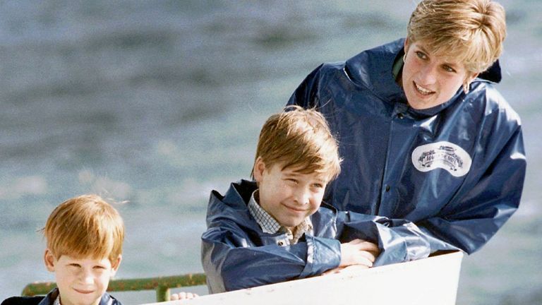 Princess Diana with Prince Harry and Prince William in Niagara Falls in 1991. Pic: AP