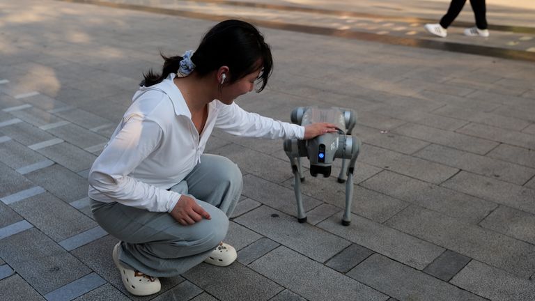 robo-dogs in china
