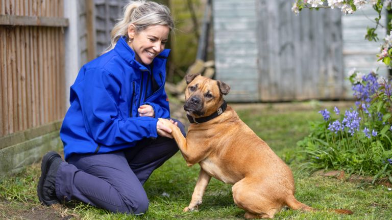 Loki pictured with RSPCA Inspector Zoe Ballard. 
Pic: RSPCA. 
Do not use for other editorial.