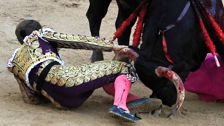 Matador Borja Jimenez was gored during a bullfight at the San Fermin festival in Pamplona. Pic: Reuters