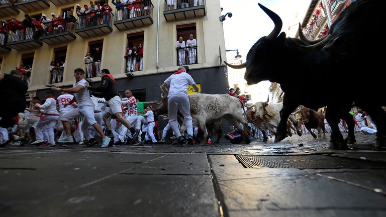 People run with the bulls during the first day of the festival on Sunday. Pic: AP