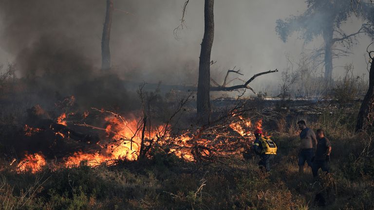Ein Feuerwehrmann und Freiwillige versuchen, einen brennenden Waldbrand in Stamata zu löschen.  Foto: Reuters