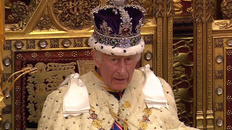 The King delivers his speech at the State Opening of Parliament