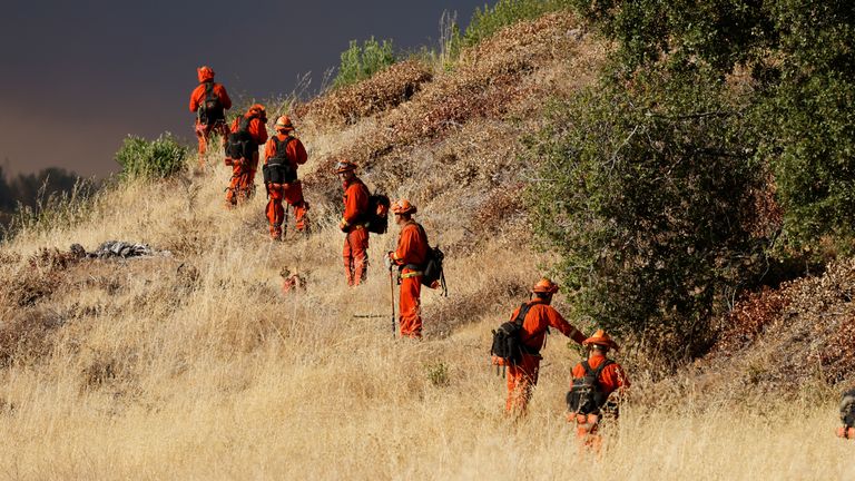 Firefighters monitor fires near Forest Ranch, California.  Photo: Reuters