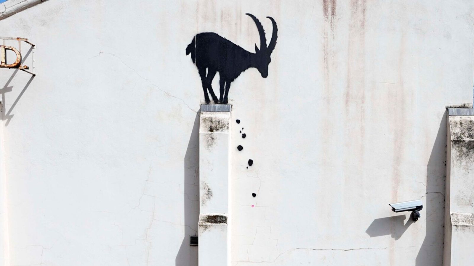 Banksy reveals new artwork featuring goat in west London