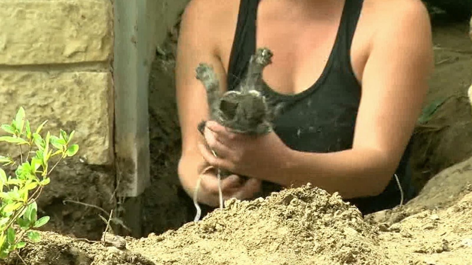 Firefighters rescue kitten from drain pipe in Milwaukee | US News | Sky ...