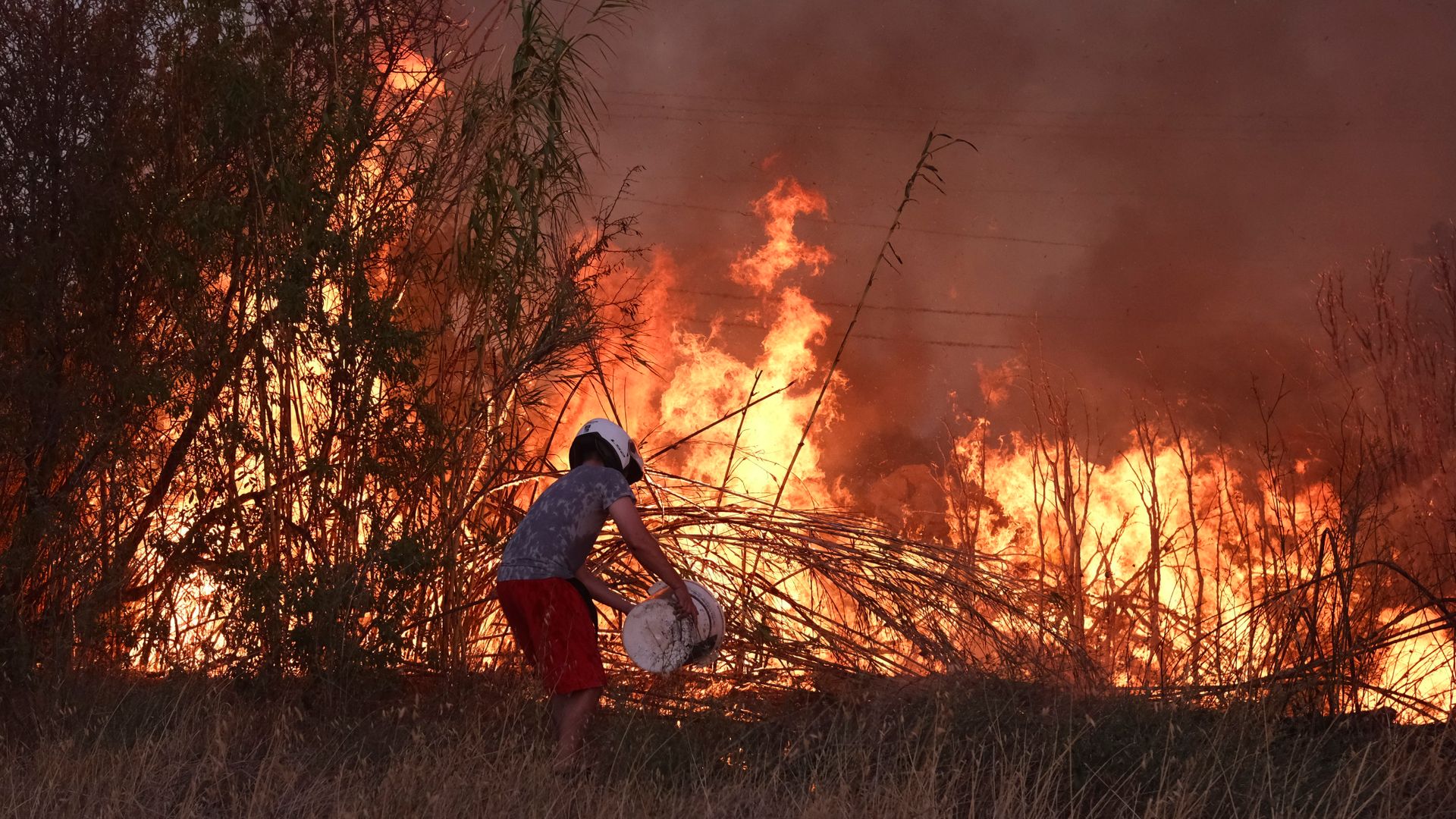 'You couldn't breathe': Massive wildfire with 25 metre-high flames rages out of control in Athens