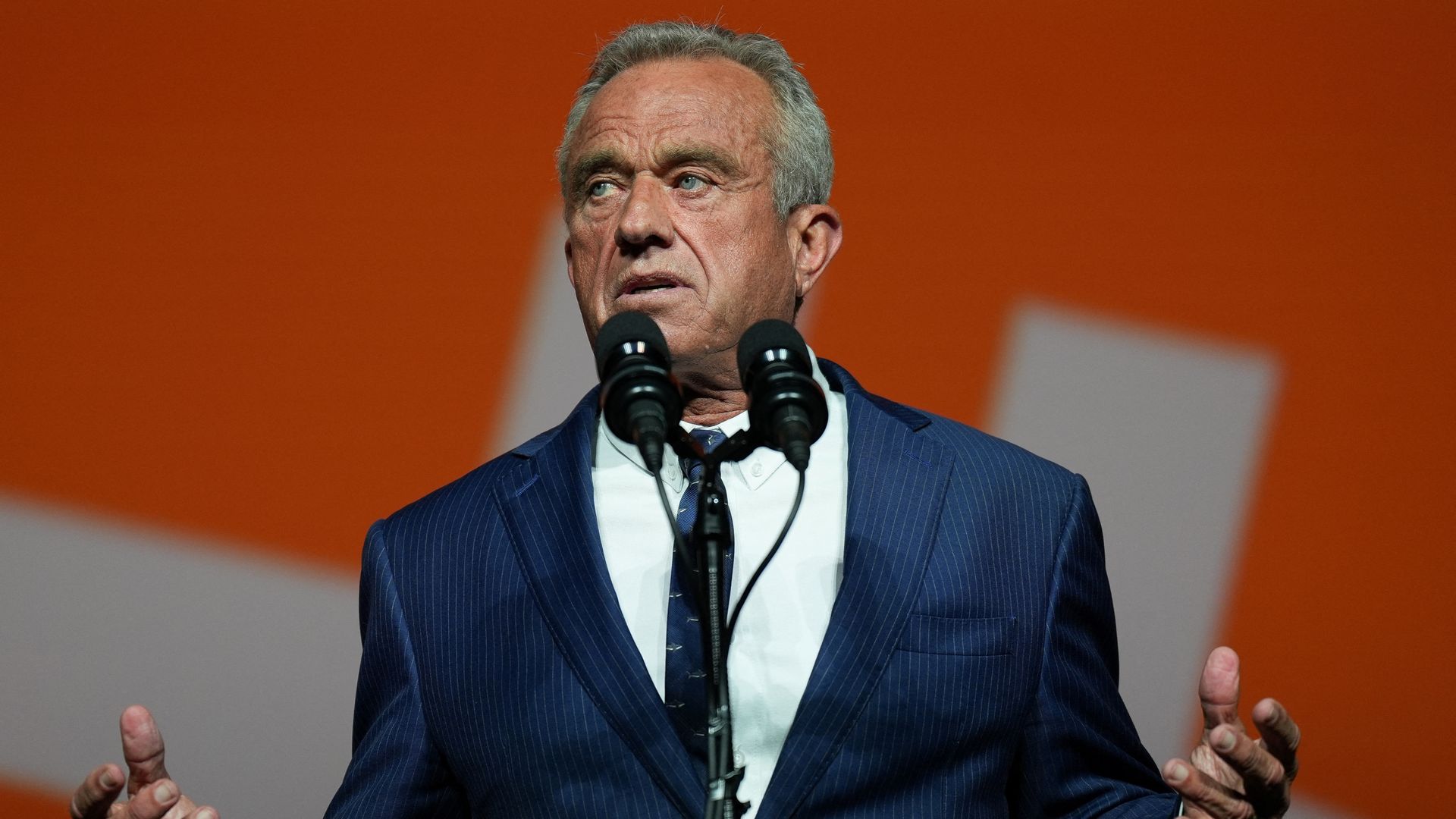 Robert F Kennedy Jr: 'I abandoned dead bear in Central Park'