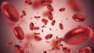 3d render Blood cells (depth of field) istock
https://www.istockphoto.com/photo/blood-cells-gm860895490-142411599