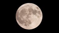 A super moon, known as the Blue Moon, rises in Seoul, South Korea, August 19, 2024. REUTERS/Kim Soo-hyeon