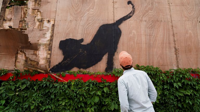 A person looks at the new artwork of a cat, by the British artist Banksy, on Edgware Road, in London, Britain, August 10, 2024. REUTERS/Maja Smiejkowska
