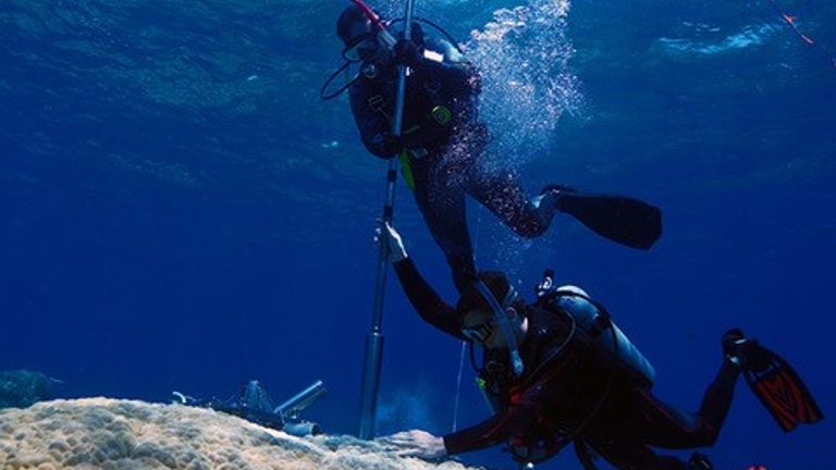 Drilling a coral skeletal core in the Coral Sea. Pic: Tane Sinclair-Taylor