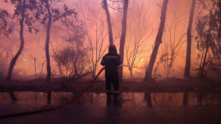 A firefighter tries to extinguish a wildfire burning in Dionysos.
Pic: Reuters