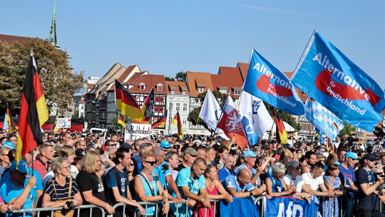 People gathered at the AfD rally. Pic: Reuters