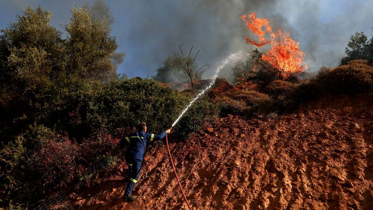 A firefighter tries to extinguish a wildfire burning in Grammatiko.
Pic: Reuters