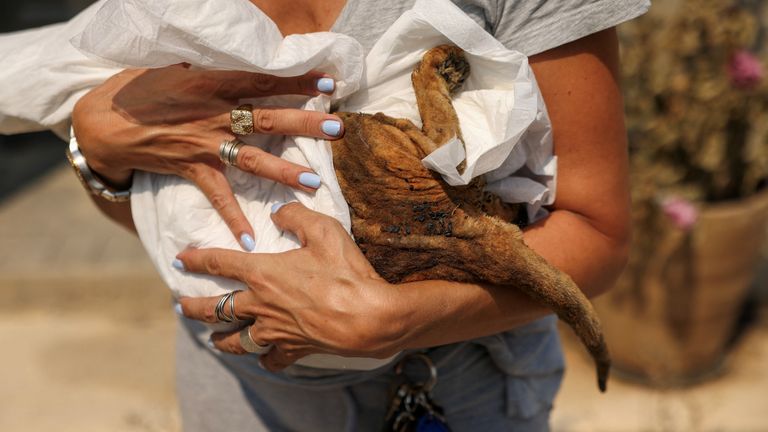 A woman holds an injured cat of Tzeni Stroubeli (not pictured), as a wildfire burns in Rapentosa.
Pic: Reuters