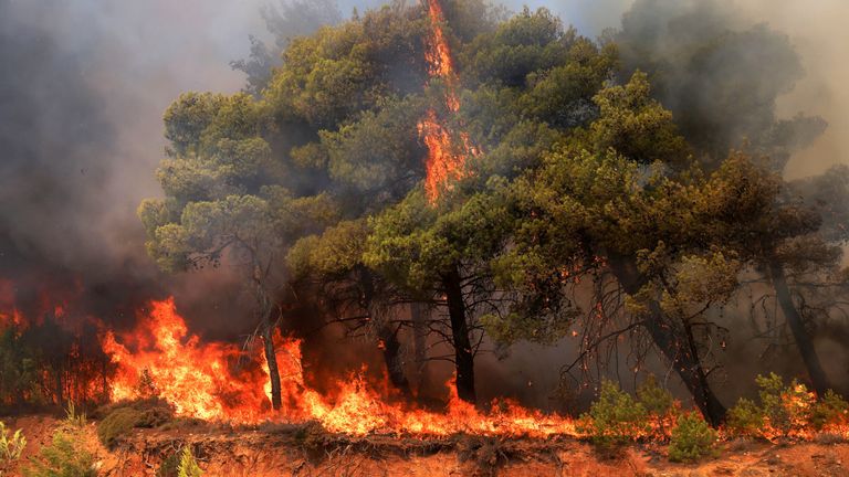 Flames rise as a wildfire burns in Grammatiko.
Pic: Reuters