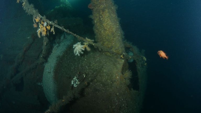 The wreckage. Pic: Lost in Waters Deep