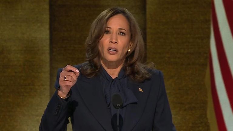 Kamala Harris tells the DNC she wants to 'chart a new way forward' with the American people