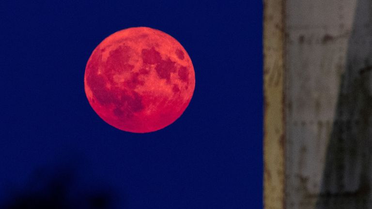 From Dortmund, in Germany. Pic: Reuters