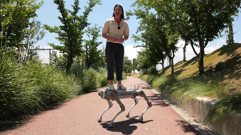 Nicole Johnston standing on the back of a robot dog, from China's Unitree